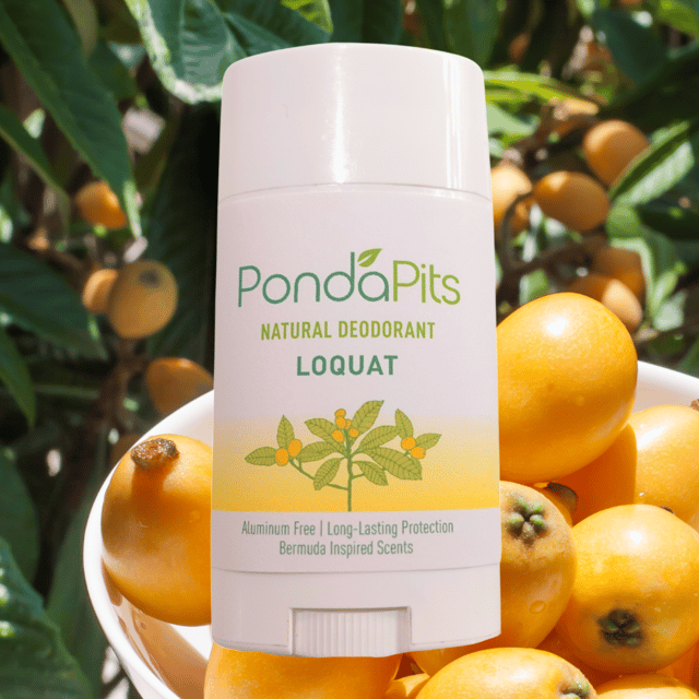 Pondapits Loquat