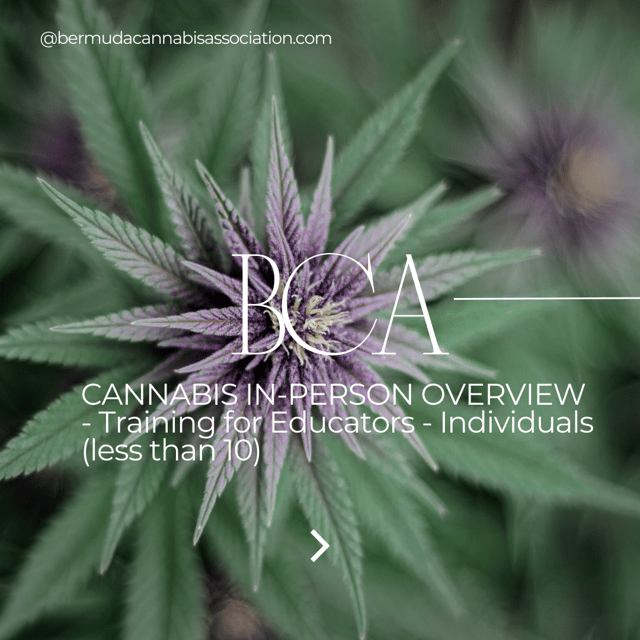 CANNABIS IN-PERSON OVERVIEW - Training for Educators