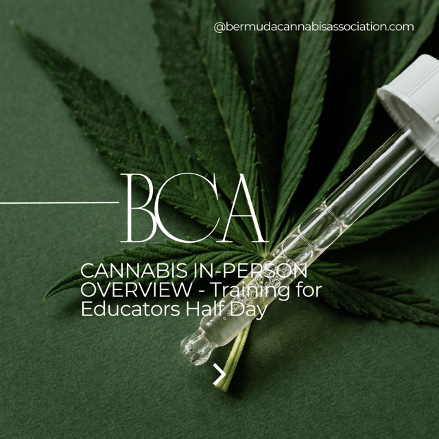 CANNABIS IN-PERSON OVERVIEW - Training for Educators Half Day