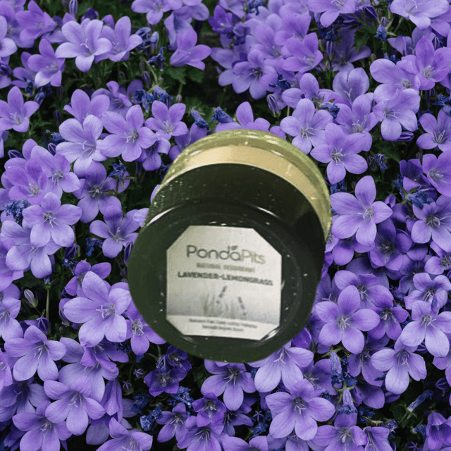 Lavender-Lemongrass Natural Deodorant Sample Size