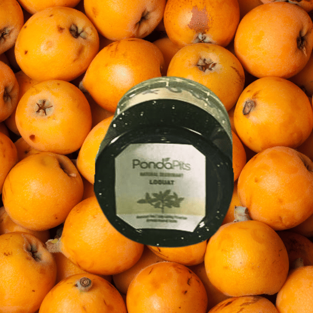 Loquat Natural Deodorant Sample Size