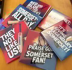 Somerset Cup Match Magnets