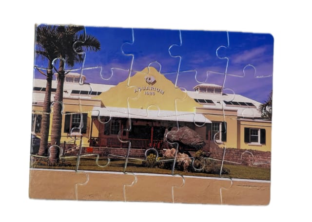 Aquarium 80pc Puzzle