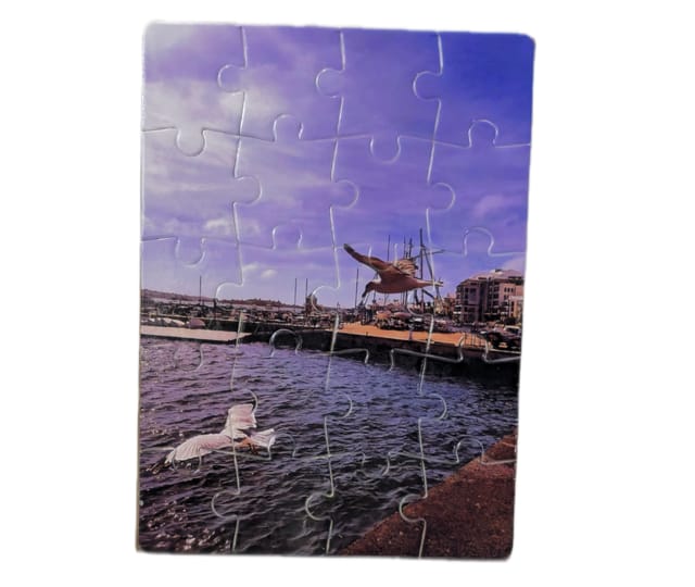 Flying Seagulls 20pc Puzzle